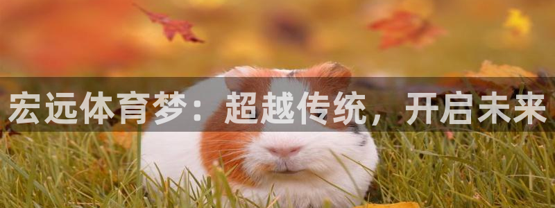 米兰体育官方正版app集团官网首页网址:宏远体育梦:超越传统