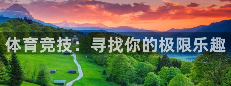 海南米兰体育官网下载:体育竞技:寻找你的极限乐趣